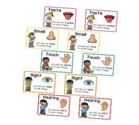 Veemoon 2 Ensembles Early Childhood Education Flash Cards for Cognitive and Sensory Development Multi Sensory Picture Cards for Language Acquisition and Classroom Decor