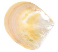 Veemoon Assiette à Caviar en Nacre Naturelle 9-10 CM Plateau de Service Créatif pour Amuse-Bouches Assiette à Dessert Multifonctions Élégante pour Restaurant et Buffet