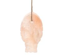 Veemoon Bloc de Sel Minéral Naturel de Poisson pour Lapins et Petits Animaux, Apport en Sel et Minéraux Essentiels, à Lécher Suspendu pour Rongeurs et Entretien Santé
