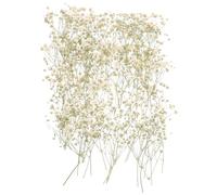 Veemoon Bouquet de Fleurs Séchées Gypsophile Artificielles en Matériau Synthétique, Facile à Entretenir, pour Décorations de Banquets et Célébrations, 80 Branches par Paquet