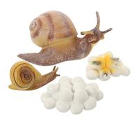 Veemoon Cycle De Vie Escargot,Figurine Cycle De Vie Coccinelle Modèle De Insecte Croissance Cycle pour Enfants Cognition Apprentissage Jouets éducatifs（Styles Aléatoires）