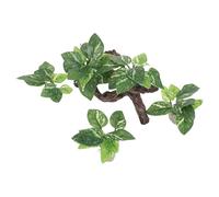 Veemoon Décoration D'aquarium 4pcs Grotte en Bois Flotté en Plastique pour Poissons Betta, Améliore Le Comportement Qualité de l'eau, pour Aquascaping