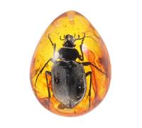 Veemoon Décoration en Résine Ambre de Coléoptère Spécimen de Scarabée Ambré Soi-Même Pendentif Léger et Portable pour Création de Bijoux Ornement Original pour Collection D’Artisanat