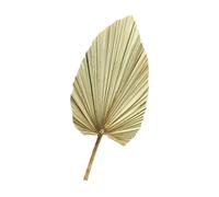 Veemoon Feuille de Palmier Séchée Vert Olive Décorative Grosse pour Décoration Murale, Vitrine et Arche de Mariage - Accessoire Naturel et Authentique pour Salle à Manger, Salon