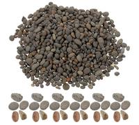 Veemoon Galets Décoratifs Naturels 2-5 MM pour Dioramas et Aquariums Sachet 50 G de Pierres Polies pour Mini-Paysage Accessoires pour Aménagement Paysager et Décor de Pots de Fleurs