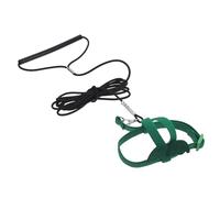 Veemoon Laisse de Sécurité Verte M pour Perroquet avec Harnais d'exercice, Corde de Vol pour Oiseaux de Compagnie, Harnais Adapté pour Calopsittes et Conures, Entraînement Extérieur