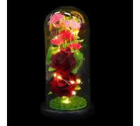 Veemoon Lampe LED Fleur Artificielle sous Dôme en Verre Noir, Décoration Romantique pour Saint-Valentin, Présent Original pour Bureau et Maison, Ornement Lumineux avec Rose Éternelle