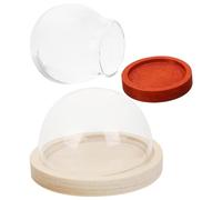 Veemoon Lot de 2 Cloches en Verre 30 MM Bases en Bois Naturel et Marron Foncé Vitrine Décorative pour Globe de Rose et Objets de Collection Accessoires DIY pour Pendentif Décoration
