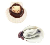 Veemoon Lot de 2 Modèles Factices D’huîtres et Coquilles Saint- Réalistes en PVC Léger, Décorations Alimentaires pour Vitrines, Accessoires de Fête et Jouets Cuisine, Ornements Marins