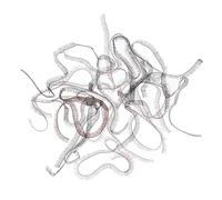Veemoon Lot de 20 Faux Cils pour Poupées DIY 0,4 X 20 Cm, Accessoires Noirs et Marron, Bandes Adhésives Naturelles, Fournitures pour Fabrication et Personnalisation D'œil de Poupée