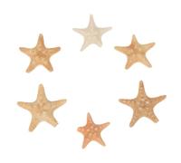 Veemoon Lot de 6 Étoiles de Mer Naturelles Décoratives, Couleurs Aléatoires, Accessoires DIY pour Décoration D'aquarium, Bricolage Garçon et Filles et Aménagement Couleur Aléatoire