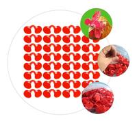 Veemoon Lunettes Anti-Picage pour Poules Taille Moyenne Plastique Hygiénique Rouge Lot de 1000 Pièces Protection les Blessures Picorements pour Élevage de Poulets
