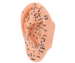 Veemoon Modèle D'acupuncture Auriculaire en Pvc 1 Pièce, Oreille Humaine Réaliste Points de Massage et Méridiens, Outil Pratique et Médecine Traditionnelle Chinoise