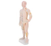 Veemoon Modèle d'Acupuncture Corporel en Plastique avec Points de Pression Précis, Taille Réelle, pour Démonstrations en t Apprentissage Professionnel