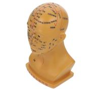 Veemoon Modèle d'Acupuncture Tête 20 CM en PVC Cuivre Modèle de Massage Cranien Points d'Acupuncture Gravés Visibles Outil Pédagogique pour Formation en Médecine Traditionnelle et