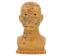Veemoon Modèle d'Acupuncture Tête Humaine 20 CM Cuivre Modèle Pédagogique Points d'Acupuncture Visage et Massage Outil Éducatif pour École Domicile et Cabinet