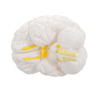 Veemoon Modèle de Cerveau Pédagogique Anatomique Blanc à 3 Parties Détachables Échelle Naturelle avec Tronc Cérébral et Hémisphères Outil D’Étude Anatomique pour Enseignement Médical et