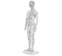 Veemoon Modèle De Méridien De Médecine Traditionnelle Chinoise Modèle De Simulation Fournitures De Formation Pour Acupuncteurs De