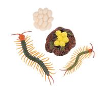 Veemoon Modèle Éducatif du Cycle de Vie du Mille-Pattes, Figurines Réalistes en Lot de 4 Set, Accessoire Pédagogique pour Garçon et Filles, D’éveil Préscolaire pour Activités