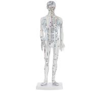 Veemoon Modèle Humain D'acupuncture Blanc en Plastique Instructions de Localisation des Points pour Formation des Acupuncteurs et Usage Domestique