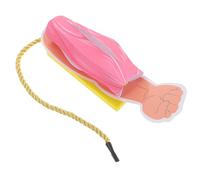 Veemoon Modèle Musculaire Anatomique en Papier Modèle D'anatomie Musculaire Jambe Humaine Outil Pédagogique pour Études de Physiologie Médicale Écoles de Médecine et Passionnés