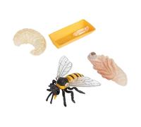 Veemoon Modèles de Cycle de Croissance des Abeilles 4 Pièces en Plastique Éducatifs pour Garçon et Filles, Cognitif et Pédagogique, Figurines Réalistes D’évolution, Apprentissage Sciences