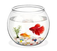 Veemoon Ornement D'aquarium Globe Transparent Pet pour Bureau et Maison | Vase Micro-paysage, Usage comme Pot de Fleurs de Table, Forme Ronde, Décoration Intérieure