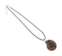 Veemoon Pendentif En Pierre En Spirale Collier Spécimen De Conque Naturel Pendentif Ammonite Pour Le Collier Charmes De Bijoux En Coquillage Bijoux Renaissance Fossile De Conque Naturel