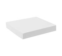 Veemoon Plaque de Plâtre Ronde Blanche en Gypse Portable pour Poterie et Art Céramique, pour Cours de Sculpture et Stockage Pratique