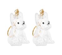 Veemoon Porte-clés Capsule Porte-Poils Transparent pour Animaux 2pcs en Abs, Souvenir Commémoratif Mignon et Pratique, Présent Mémoire pour Amoureux des Chiens