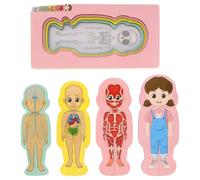 Veemoon Puzzle Éducatif en Bois Anatomie du Corps Humain pour Filles, Stem Précoce Puzzle des Organes, Ensemble Pédagogique Montessori 3D pour Apprentissage Scientifique, Coordination