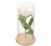 Veemoon Rose Éternelle Blanche sous Cloche en Verre Socle Clair Décoration de Fleur Préservée pour Saint-Valentin Présent Romantique et Ornement Solide pour Maison et Bureau