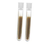 Veemoon Simulated Cat Whiskers for DIY Crafts Lightweight and for Needle Felting Plush Toys and Stuffed Animals