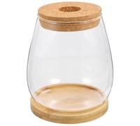 Veemoon Vase en Verre Hydroponique Grand Format pour Plantes Succulentes et Compositions, Support en Bambou 10 Cm, Décoration Bureau et Jardin, Pot Transparent pour Terrarium