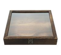 Veemoon Vitrine à Insectes en Bois Carbonisé 30X30X45 CM Couvercle Transparent Boîte d'Exposition Vintage Verrouillable pour Spécimens Fleurs Séchées et Objets de Collection