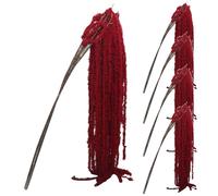 Veesper 5 pièces de Fleurs suspendues d'amarante séchées 51 Pouces, véritable Fleur Artificielle d'amarante conservée pour décoration Murale de Maison 'Arc Mariage.