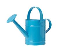 Veesper Arrosoir en métal pour Enfants de 1, 5 L pour Fleurs d'intérieur et Plantes d'extérieur, Petit Pot 'arrosage léger pour Enfants, équipement de Jardinage pour, Bleu