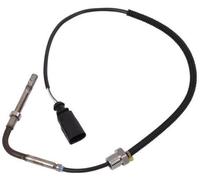 VEGAZ TPS-047 Palpeur, température des gaz