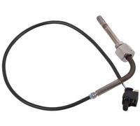 VEGAZ TPS-098 Palpeur, température des gaz