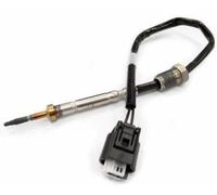 VEGAZ TPS-808 Palpeur, température des gaz