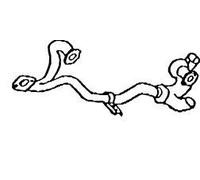 VEGAZ Tuyau d'échappement Ligne d'échappement VR-137 avant 1200 800mm 6kg