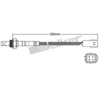 VEGAZ ULS-160 Sonde lambda
