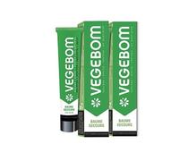 Végébom Baume de Secours 100 g - Gel Secours VEGEBOM - Lot de 2 Tubes 100g (2)