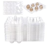 Vegena Lot de 50 boîtes à œufs de caille - 6 grilles - En PVC - Avec couvercle - Pour réfrigérateur