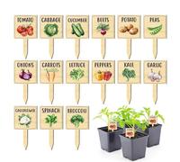 Vegetable Garden Tags - Printed Wood Plant Sign Stakes | Raised Bed Labels