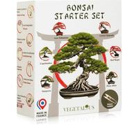 VEGETALIUS - Kit complet de 6 Bonsai avec graines & accessoires - Fabriqué en France - Idée coffret cadeau original