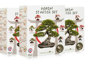 VEGETALIUS - Kit complet de 6 Bonsai avec graines & accessoires - Fabriqué en France - Idée coffret cadeau original pour femme & homme pour votre intérieur ou jardin (3)