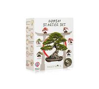 VEGETALIUS - Kit complet de 6 bonsaïs avec graines et accessoires - Fabriqué en France - Une idée cadeau originale pour les hommes et les femmes pour votre maison ou votre jardin