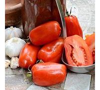 vegherb 1/8 Gram Graines Bio de San Marzano Tomate Bio