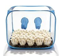 VEGOATY Tente de culture portable et pliable : 60 x 60 x 90 cm Tente de culture de champignons avec deux ouvertures pour les bras, tente de culture avec fenêtre d'observation en polyéthylène